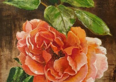 Rose by Debbie Peaty